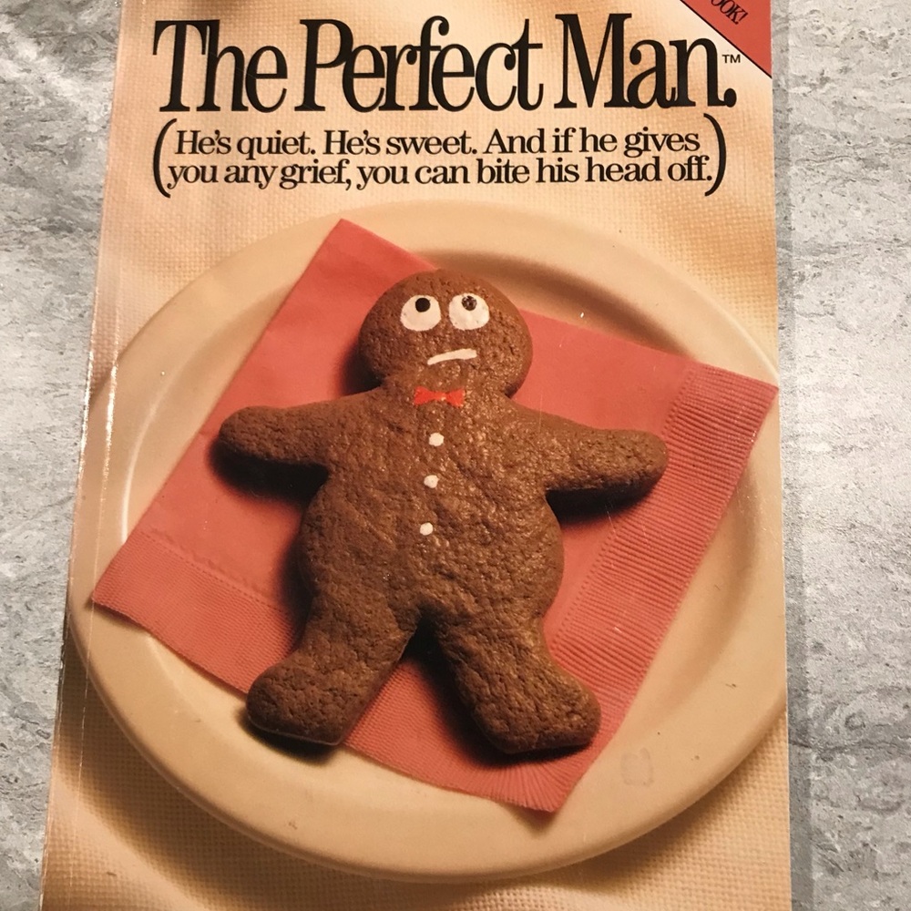 The Perfect Man Book